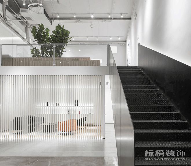 辦公室植物擺放植物有哪些，怎么擺放比較好？